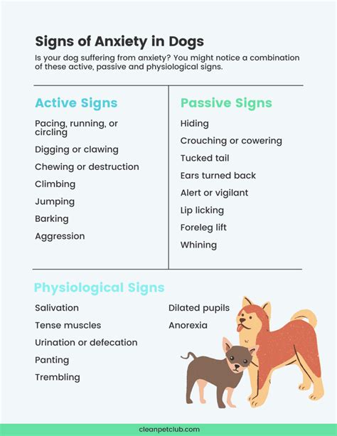 anxiety attack symptoms in dogs